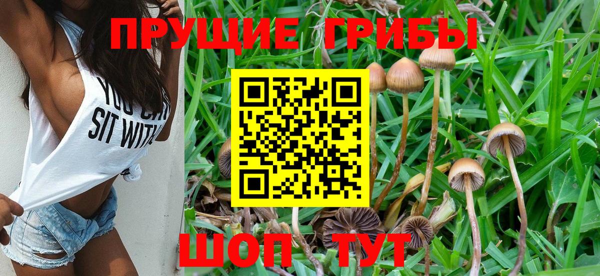 Новоалтайск  Псилоцибиновые грибы MAGIC MUSHROOMS  Вход с VPN 